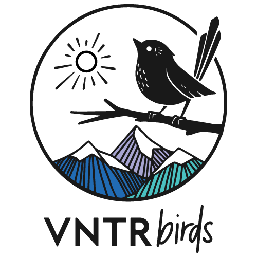 VNRTbirds-Logo-V1-500x500(1).png